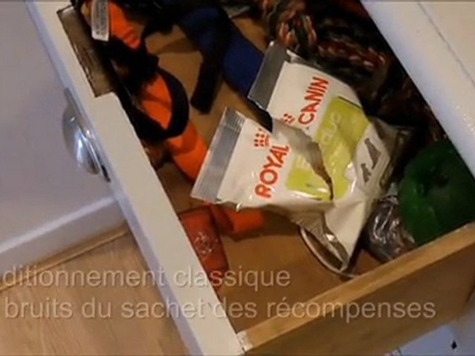 Le conditionnement classique