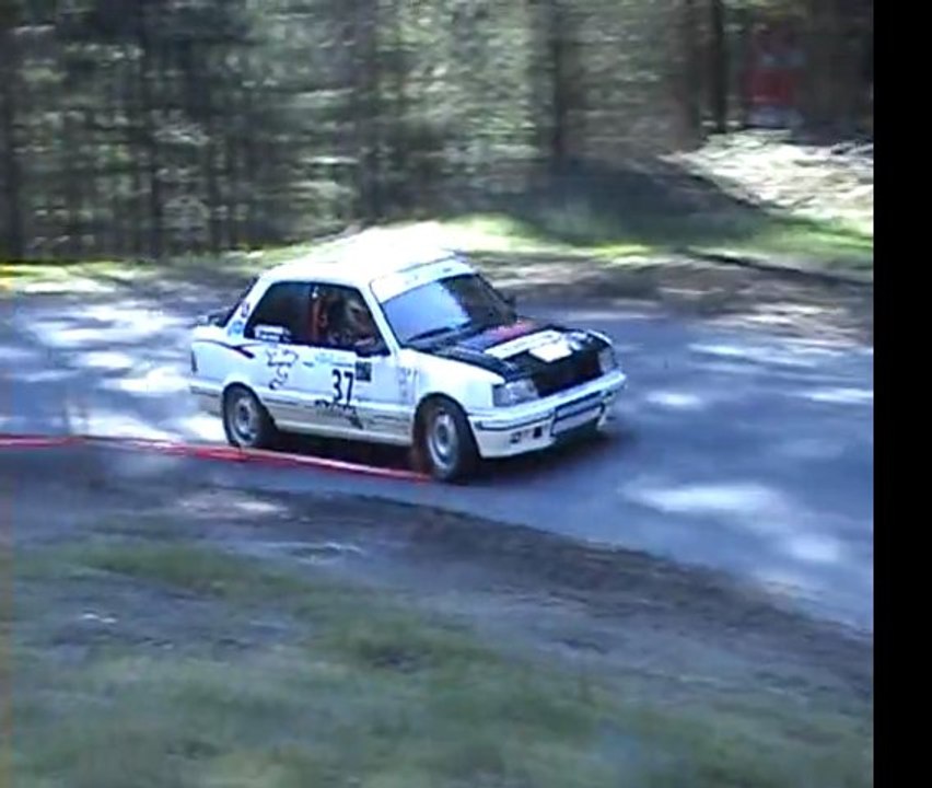 Rallye Monts Domes 2011