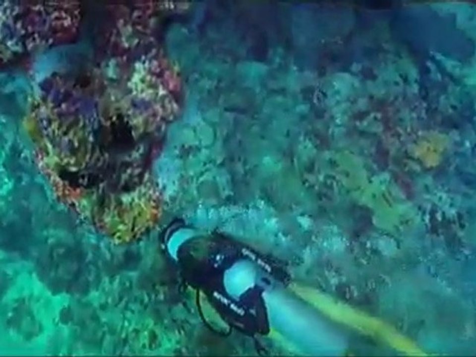 MALDIVES Always Natural