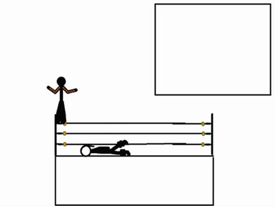 pivot smackdown hareketler