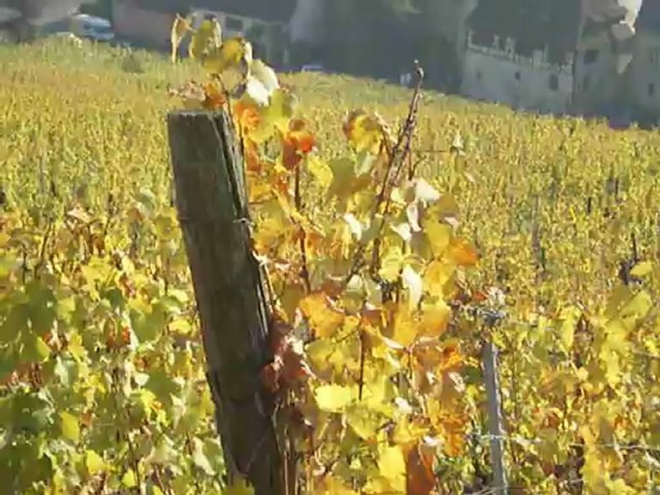 videopulvé501aprèsmidi