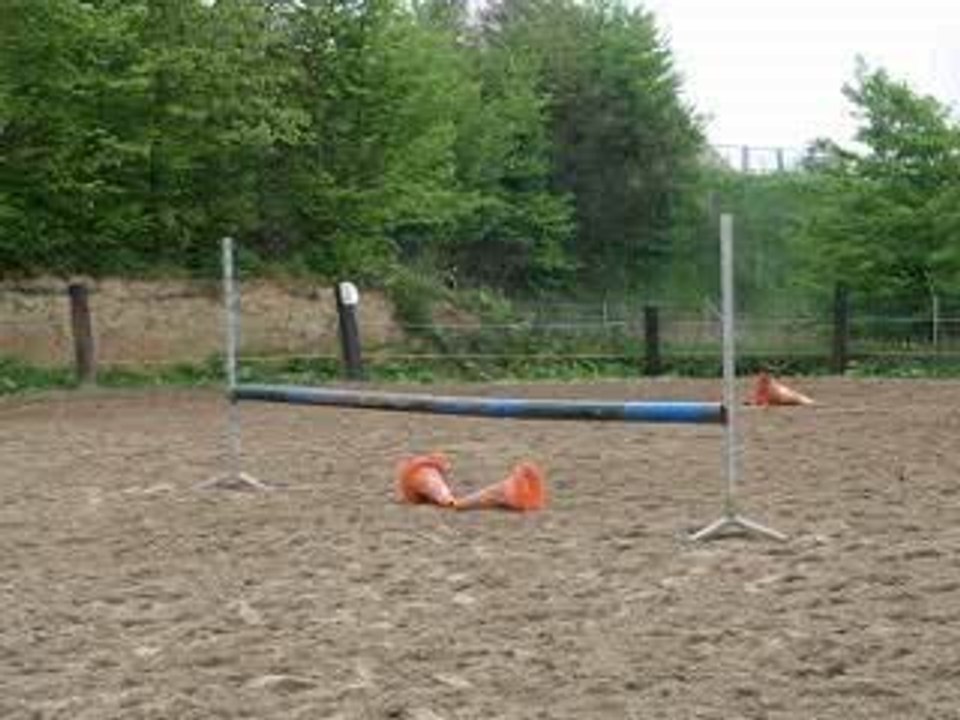 saut+soubassemen