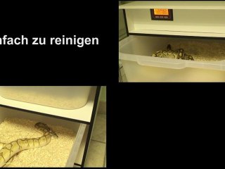 Perfektes Racksystem für Reptilien & Schlangen 🐍 – Für Anfänger & Profis