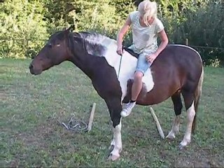 Never stop dreaming .