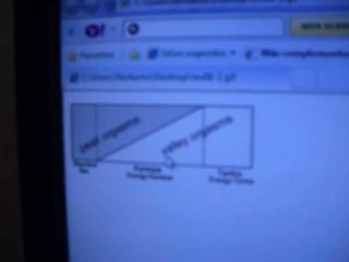 Karezza arte de amar que cura la eyaculacion precoz