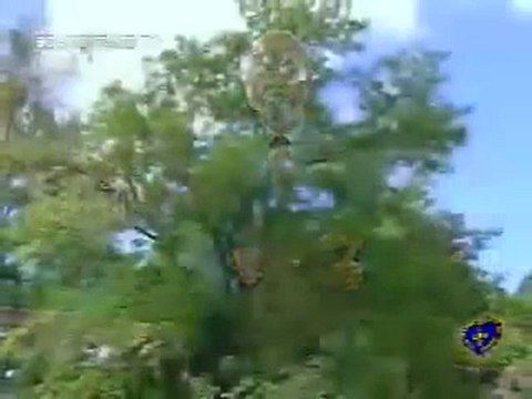 Cuidemos bem do CAPITAL DE DEUS! - PAIVA NETTO - RELIGIÃO DE DEUS