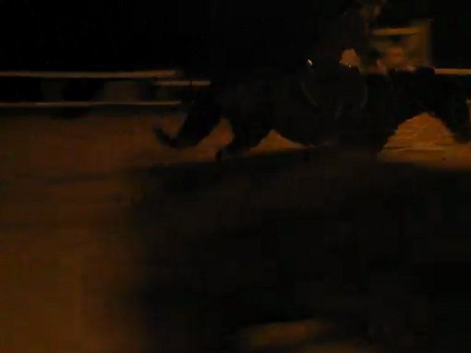 Obstacle isolé régularité galop 2