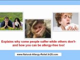 dog allergy treatment - skin allergy treatment - treatment cat allergy