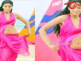 South Actress - Shriya Saran Hot Poses