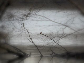 Lumières d'un Bonheur 3