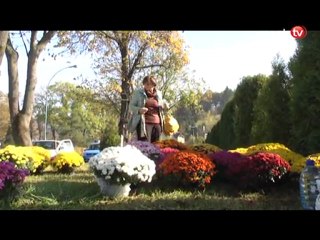 TV SANOK - Puls Tygodnia 29.10.2011