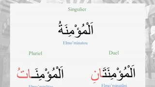 Apprendre l'arabe c'est simple _ Leçon N°19