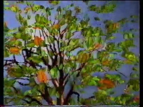 TF1 21 Septembre 1993 2 Pubs,2 B.A.,Météo,Tiercé,Fin 20H,Ciné Mardi