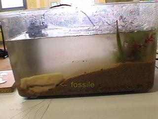 Érosion et sédimentation - modélisation 4ème