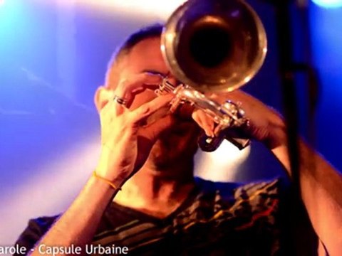 montage son et photos du concert de Groundation