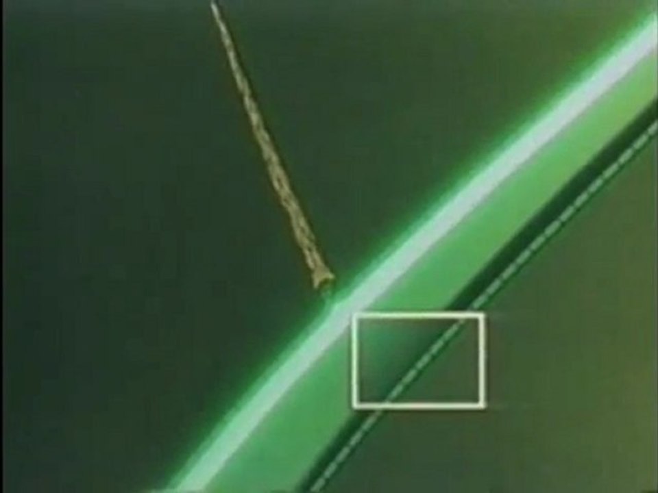 Harun Yahya TV - The venus flytrap