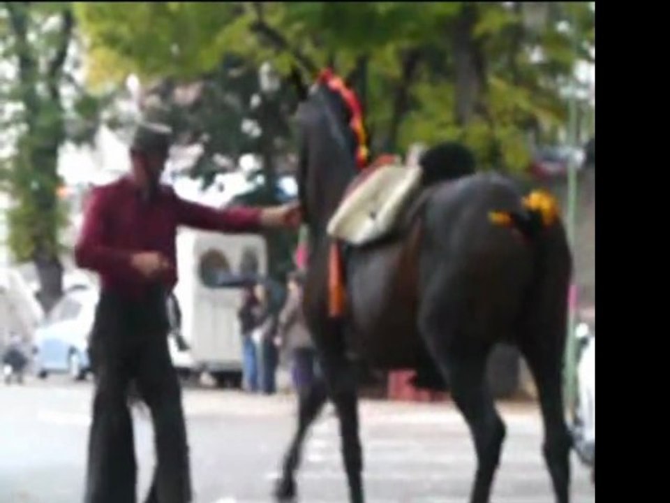 FËTE DE LA CHATAIGNE 2011 à ST PONS 34