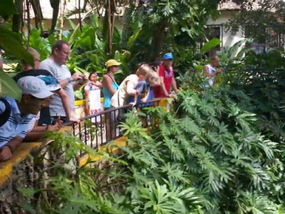 lundi 24 octobre chichen itza ek balam