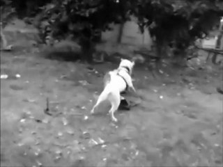 Bady de la représaille -feat djside Quelle époque de ouf man