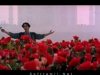 Roja Roja-kadhalar dhinam