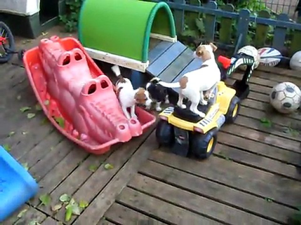 visite au bois d'orly