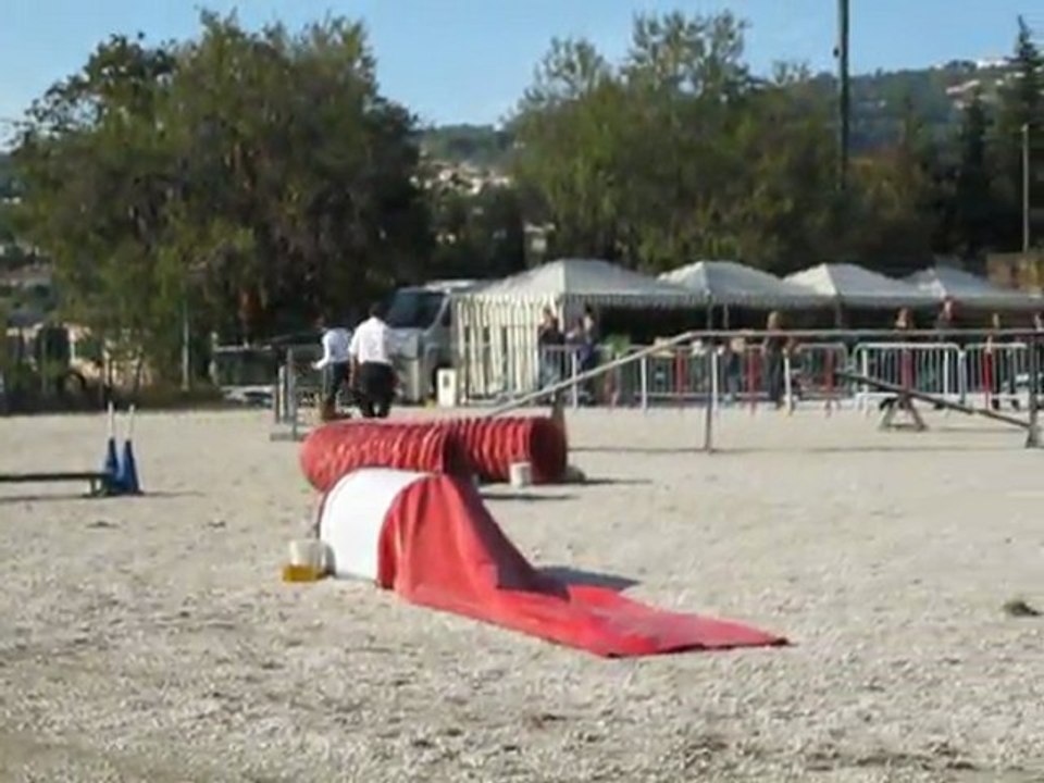 gpf alf ollioules11