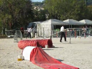 gpf ducky ollioules11