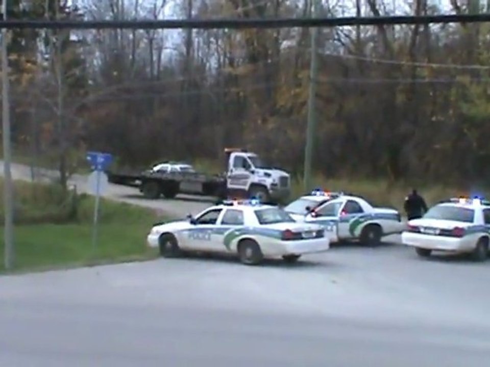 USA : La police tir 12 coups de feu sur une vache