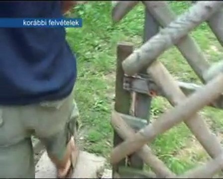 Meghalt az oroszlány várdomb utcai támadás áldozata