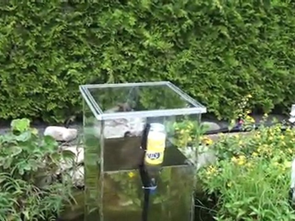 Tour d'observation pour poisson : installation & création