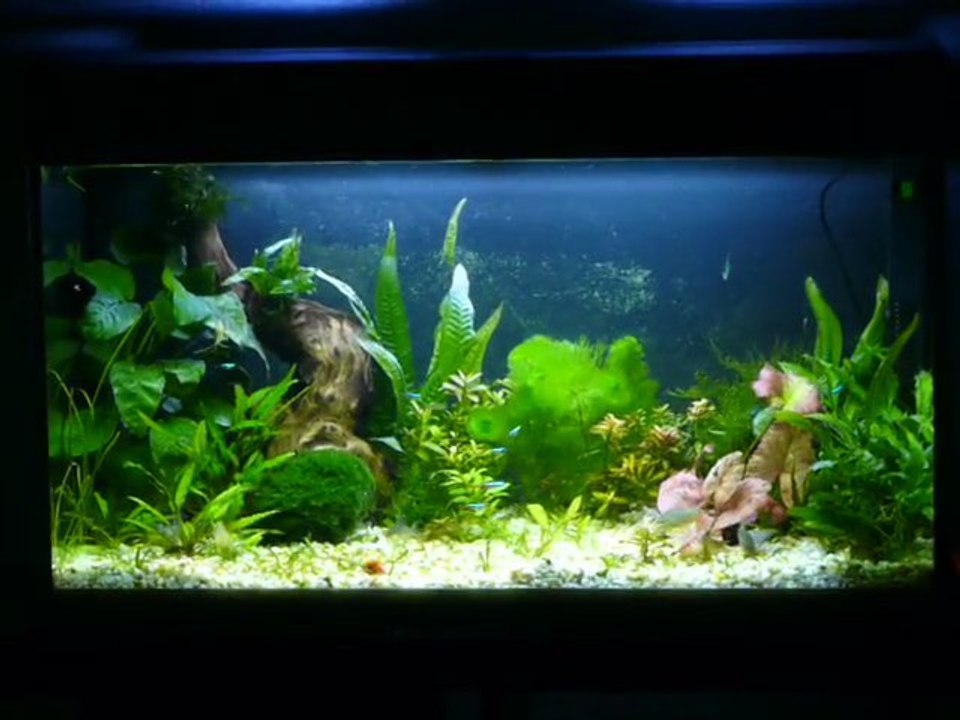 Vue generale pendant le repas