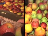 Terroir: la pomme d'Alsace