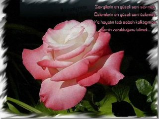 cengiz imren-vur beni