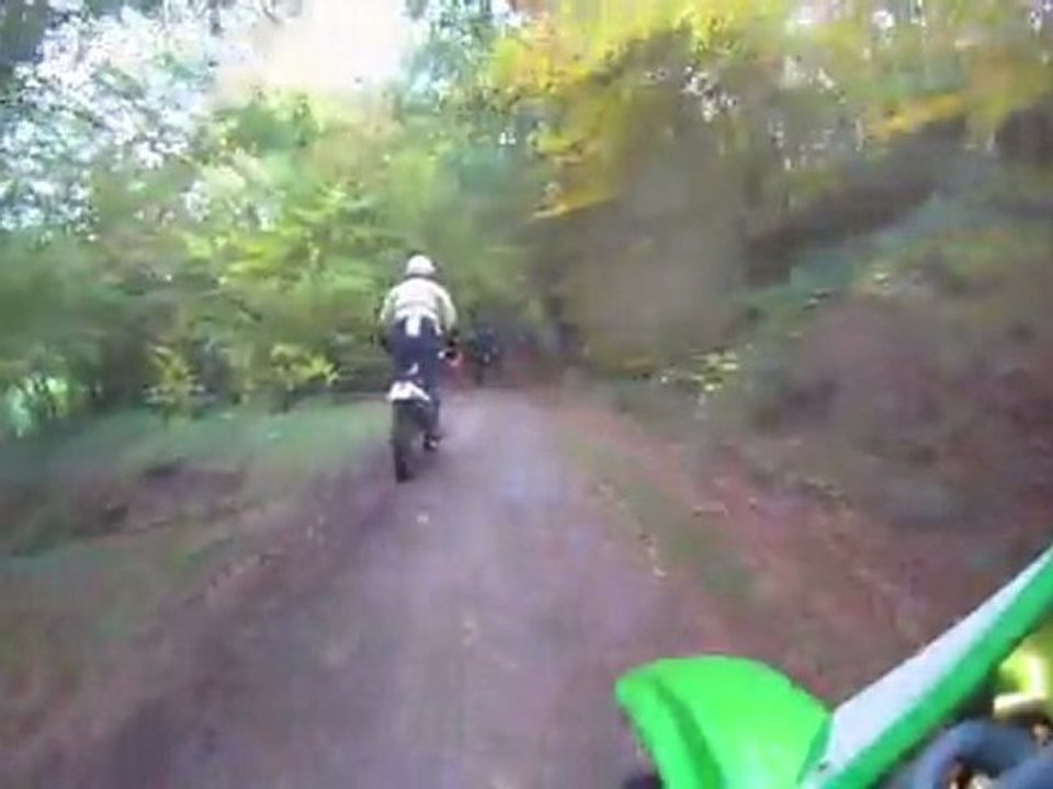 Sortie 29/10/11