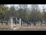 Socianda  MORINDA Jumping at the Tirgand Oct 11