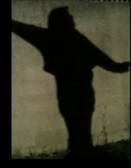 jeux d'ombres et de vie