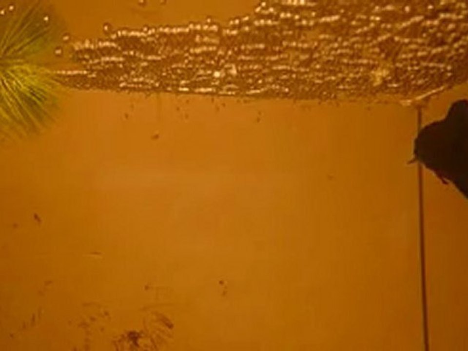 P1030276(xvid)