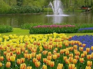 Мой идеальный день!