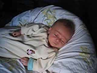 Noé, fin juillet, début aout