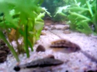 video-2011-10-30 18.22.52