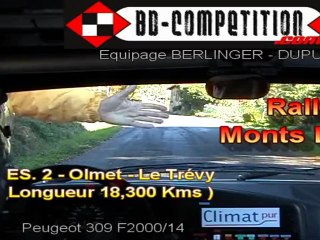 ES2 Rallye des Monts Dome 2011