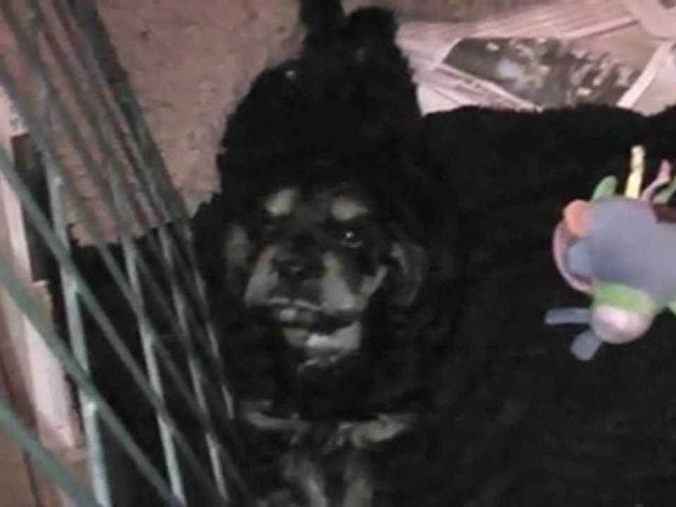 cache cache 30102011