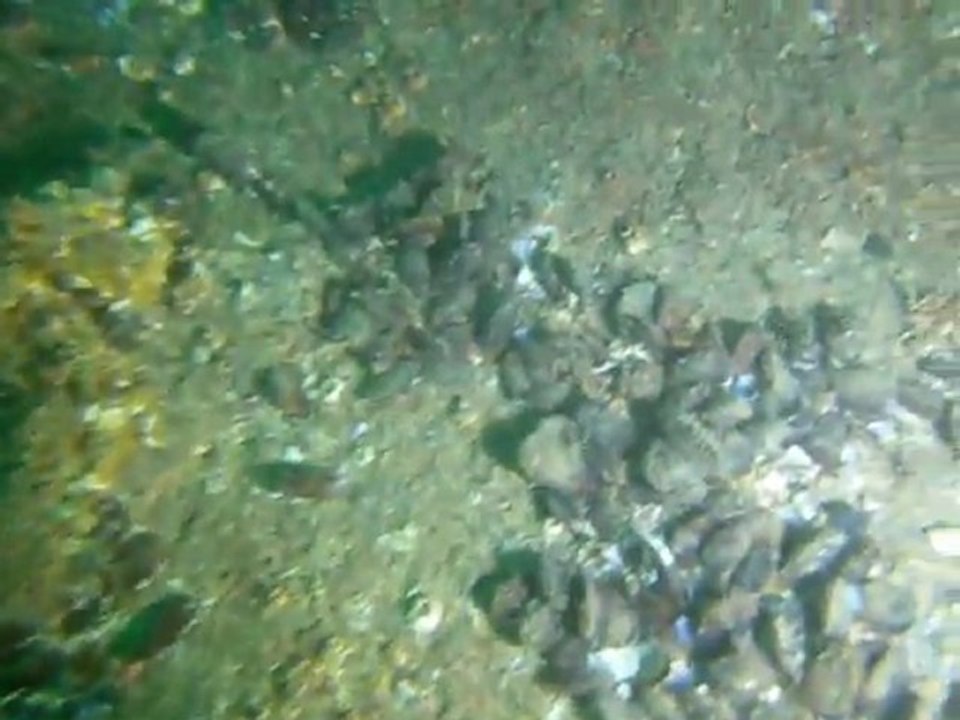 DSCN3629