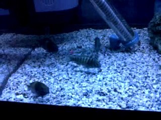 VID 00004-20111030-1926