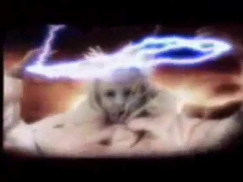 Halloween Platz 43 Halloween Dream Evil - The Book Of Heavy Metal