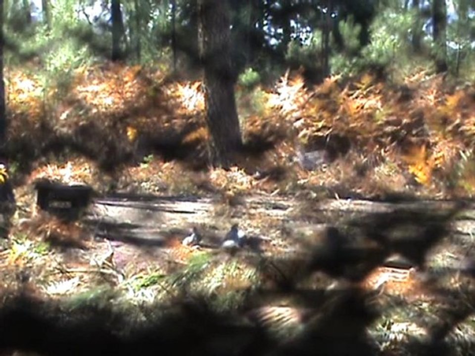 2011/10/21 11:37
