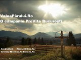 Valea Parului Ro - Campanie Umanitara - Fii Pro Vita