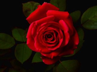 Güzel Âşık Yahya Soyyiğit- Veysel Dalsaldı