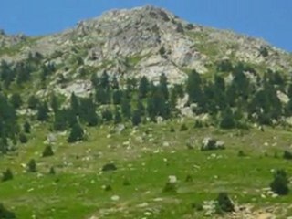 Kubilay Duman-Eriçoku'n Başından