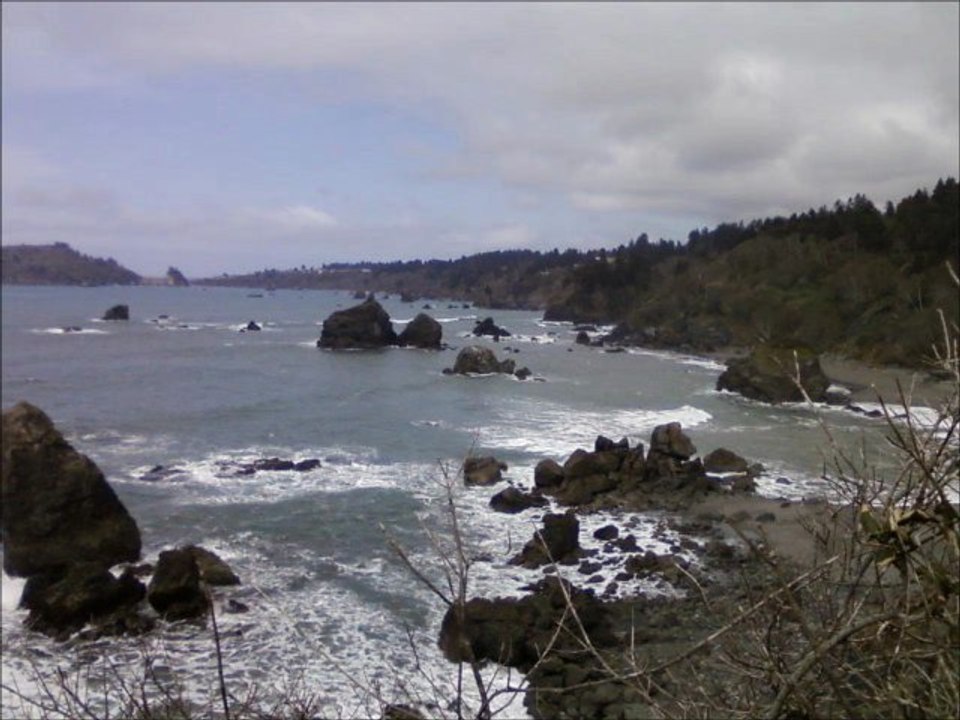 Pics from my cellphone